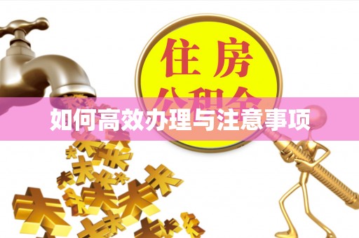 铅山如何高效办理与注意事项
