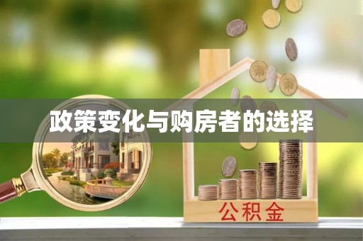 铅山政策变化与购房者的选择