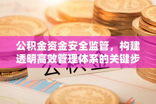 铅山公积金资金安全监管，构建透明高效管理体系的关键步骤
