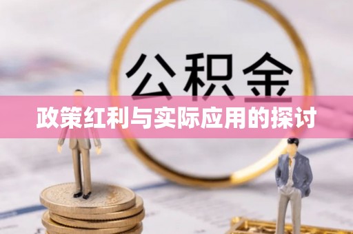 铅山政策红利与实际应用的探讨